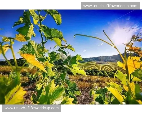 醇香与热浪的碰撞:阿联酋与巴林,一场味蕾与心灵的奇遇